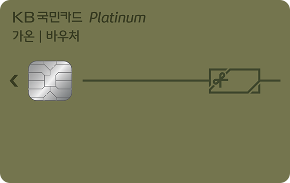 가온 플래티늄바우처카드