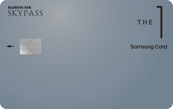 THE 1 (스카이패스)