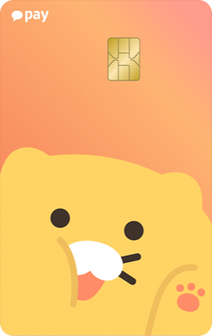 카카오페이카드3