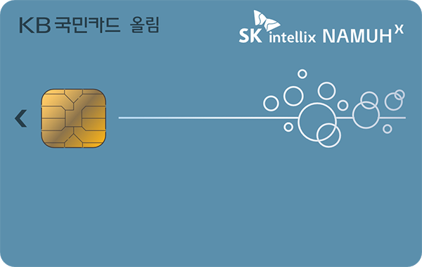 SK인텔릭스 올림 KB국민카드