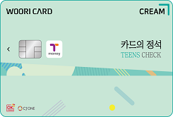 카드의정석 CREAM TEENS CHECK