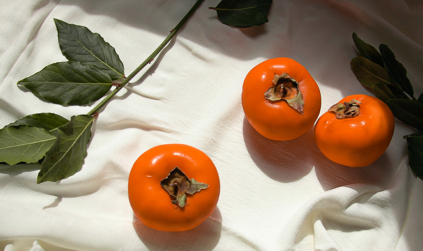 카드고릴라 : [명절] 농산물 금값! 장보기 카드 추천 BEST 4 – 네이버