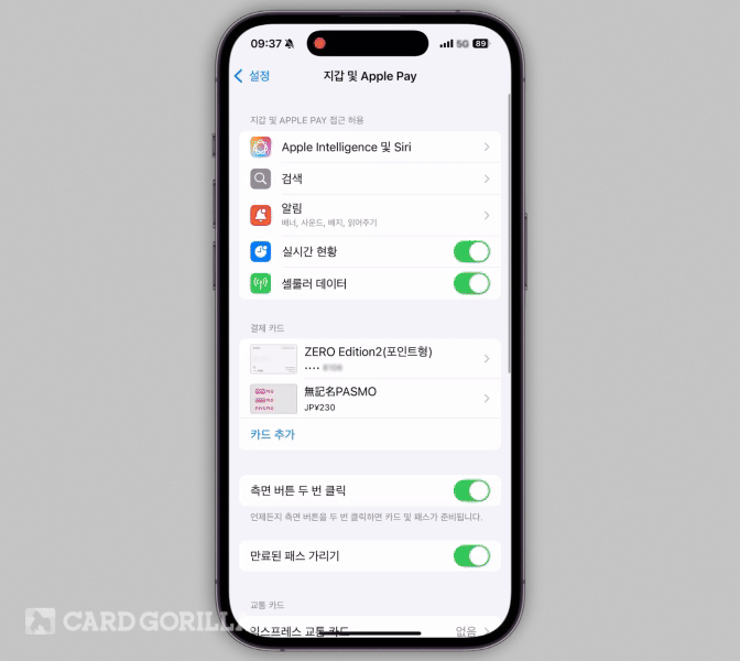 애플페이 티머니 사용 애니메이션